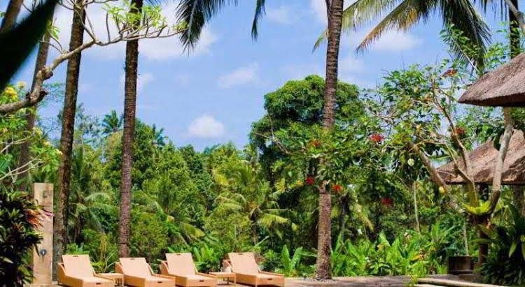 Indigo Tree Villas Spa0