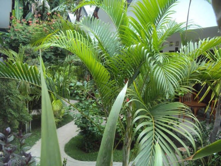 Ricel Homestay0