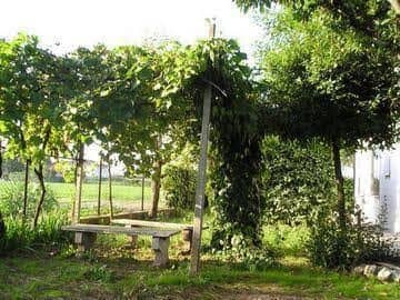 Bed & Breakfast Agostini Daniela Bed & Breakfast Agostini Daniela