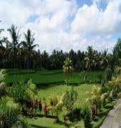 BHANUSWARI RESORT & SPA BHANUSWARI RESORT & SPA