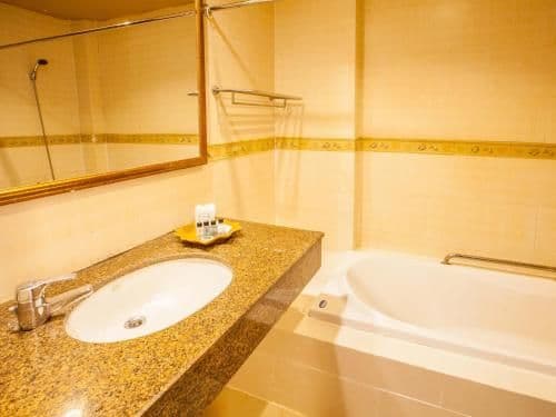 Deluxe Double or Twin Room with Pool Access