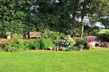 Oak Tree Cottage Bed & Breakfast Oak Tree Cottage Bed & Breakfast