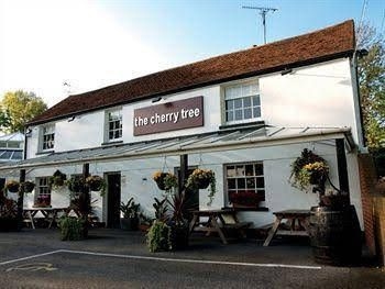 The Cherry Tree3