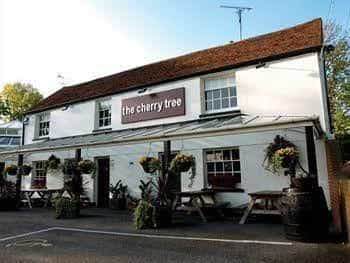 The Cherry Tree The Cherry Tree