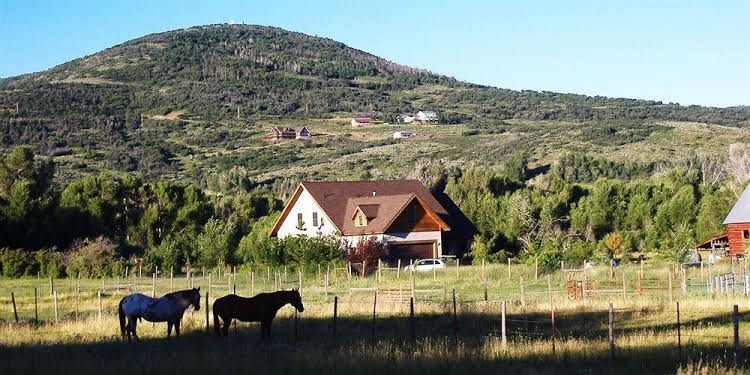 Woodland Farmhouse Inn Bed and Breakfast2