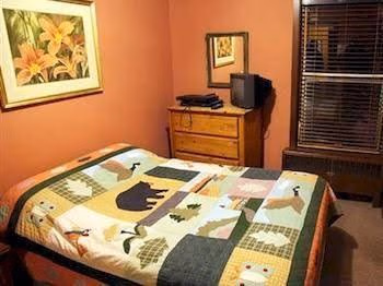 Rico Hotel Mountain Lodge3