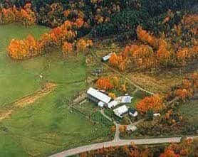 The Inn At Buck Hollow Farm
