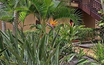 Molokai Vacation Properties - Kepuhi Beach Resort1