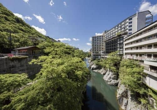 Kinugawa Plaza Hotel Kinugawa Plaza Hotel