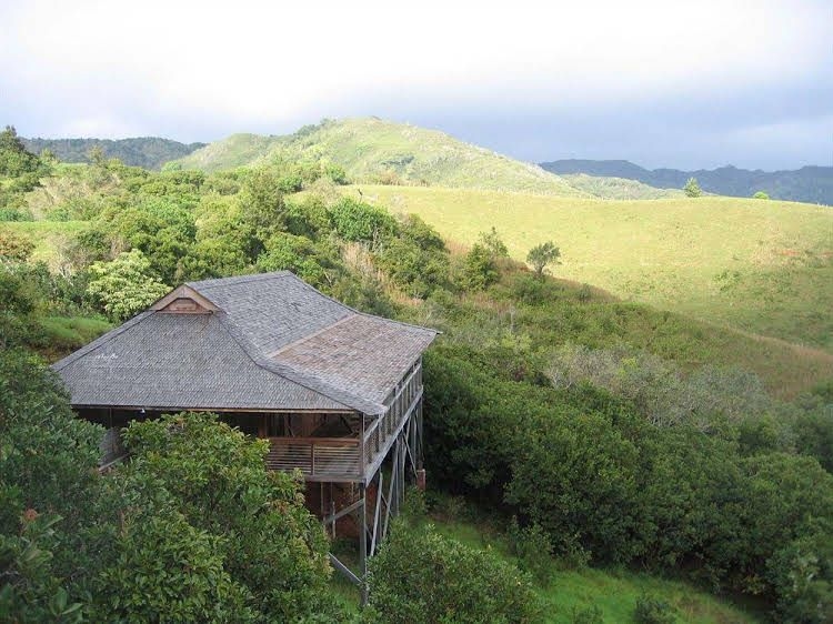 O'Luina1