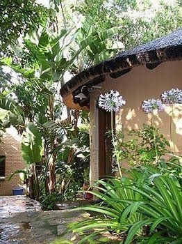 Old Joe's Kaia Country House2