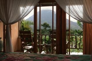 Lost Iguana Resort & Spa1