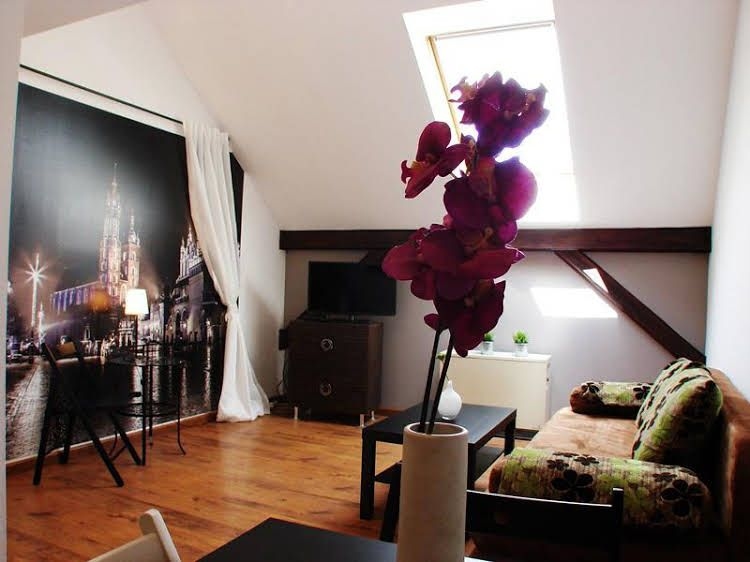 Cracovia 7 Kazimierz - AAO 487290