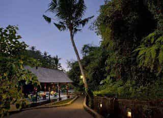 The Samaya Ubud The Samaya Ubud