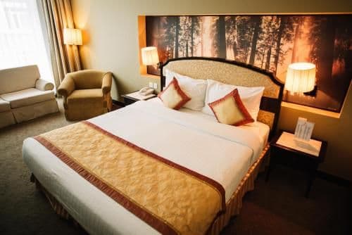 Deluxe Double or Twin Room with City View