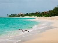ONE & ONLY OCEAN CLUB PARADISE ISLAND0