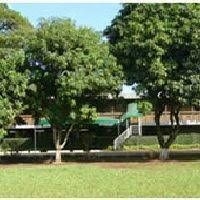 Salvattin Campestre1