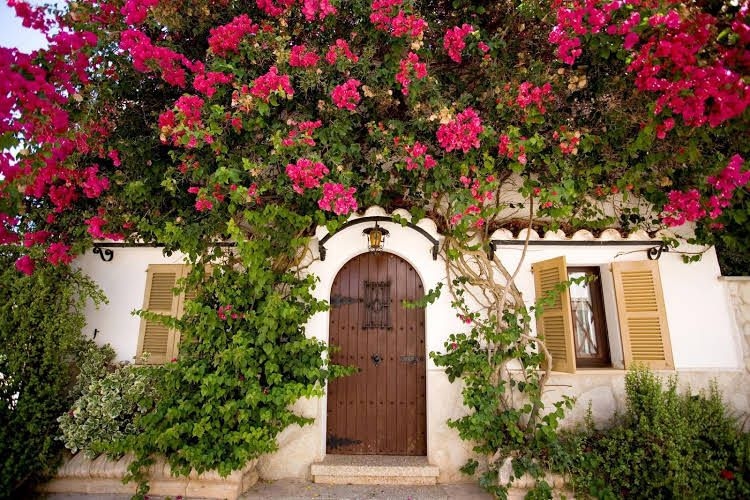 Sa Bassa Plana Finca1