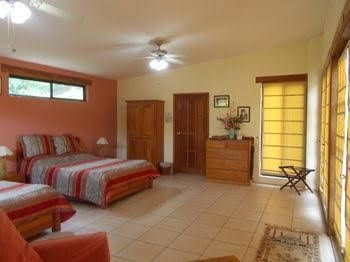 Gumbo Limbo Jungle Resort4