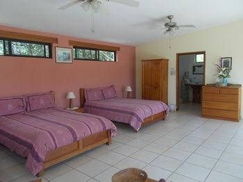 Gumbo Limbo Jungle Resort3