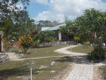 Gumbo Limbo Jungle Resort0