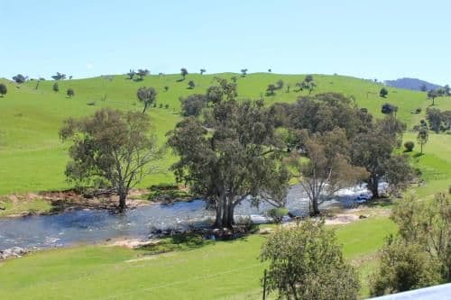 Three-Bedroom Cottage - River Gum