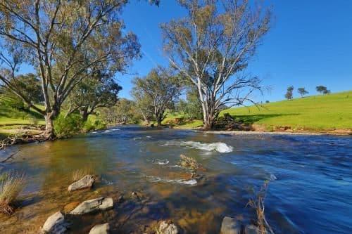 Three-Bedroom Cottage - River Gum