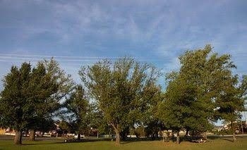 พาร์คเฮเว่น โมเทล (Parkhaven Motel)1