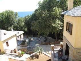 Vergopoulos Olive Yard4