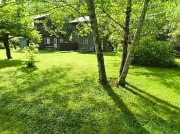 Forest Echoes Cabins