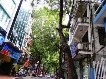 Hanoi Central Hostel Hanoi Central Hostel