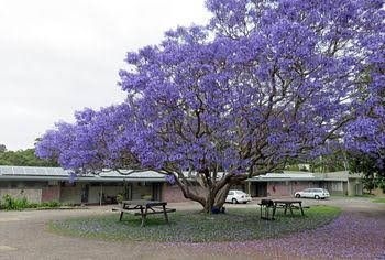 Ecotel Narooma0