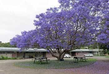 Ecotel Narooma