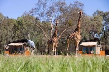 Zoofari Lodge, Taronga Western Plains Zoo0