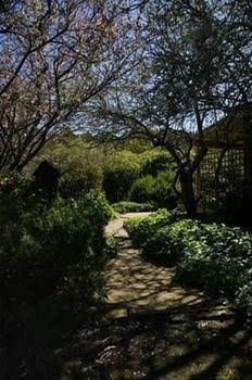 Quince Cottage0