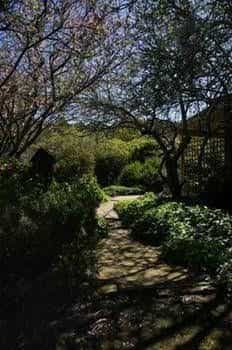 Quince Cottage