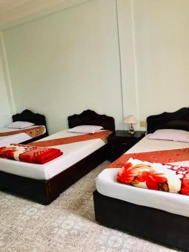 Basic Triple Room