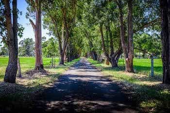 Dunsborough Rail Carriages & Farm Cottages