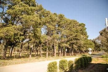 Greenleigh Central Canberra Motel Greenleigh Central Canberra Motel