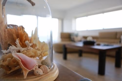 Two-Bedroom Penthouse Apartment