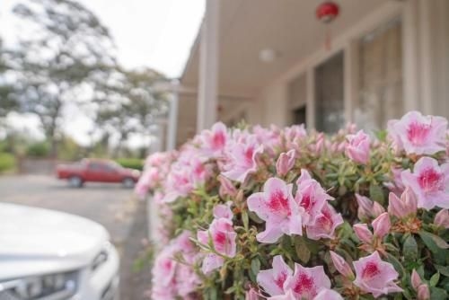 อีเดน นิโม โมเต็ล (Eden Nimo Motel)3