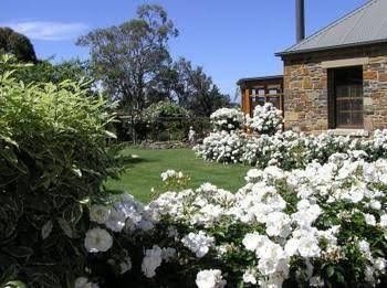 Wagners Cottages3