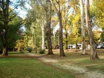 Mt Buffalo Caravan Park1