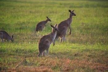 Yamba Waters Holiday Park2