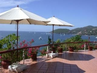 Catalina Beach Resort0