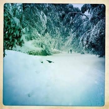 Alpine Woodsmoke0