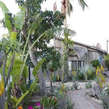 La Bohemia Hotel Pequeno0