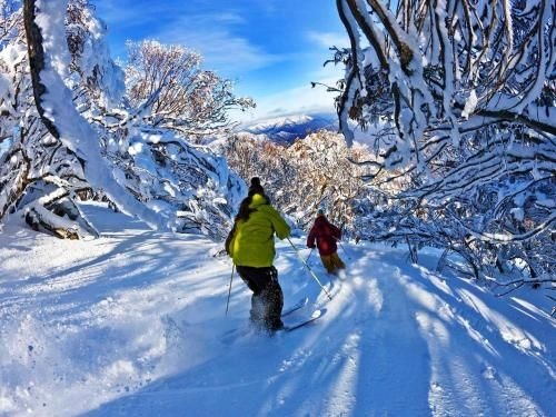 Buller Central2
