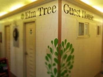 Elm Tree Guest House Myeongdong0