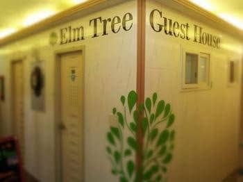 Elm Tree Guest House Myeongdong Elm Tree Guest House Myeongdong